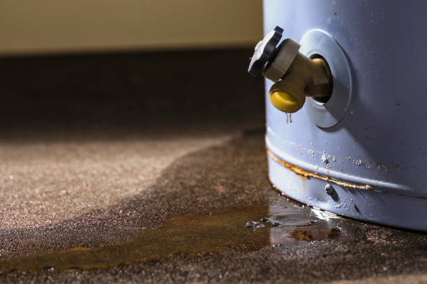 Best Basement water damage restoration  in Winter Park, FL