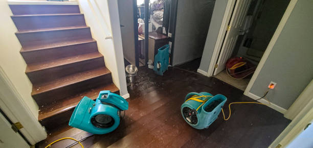 Best Ceiling water damage repair  in Winter Park, FL