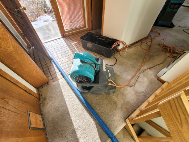Best Flood damage cleanup  in Winter Park, FL