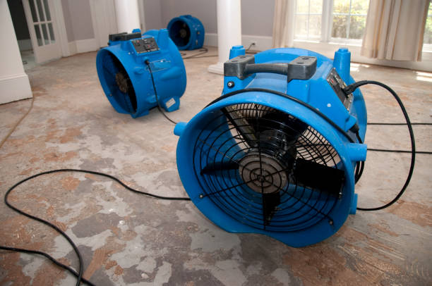 Best Water damage restoration specialists  in Winter Park, FL