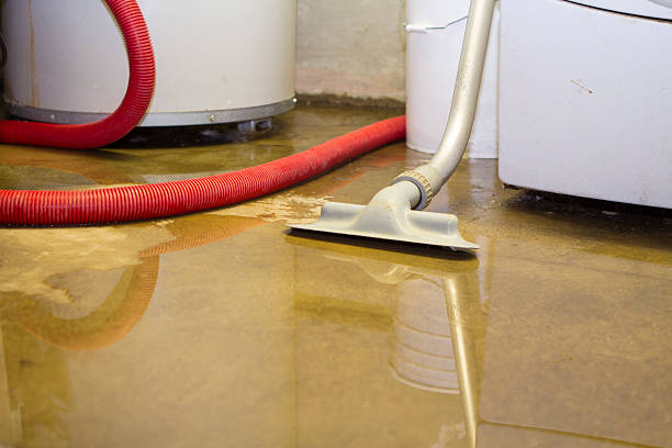Best Professional water damage repair  in Winter Park, FL