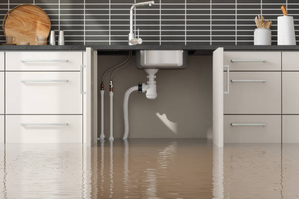 Best Emergency water damage restoration  in Winter Park, FL
